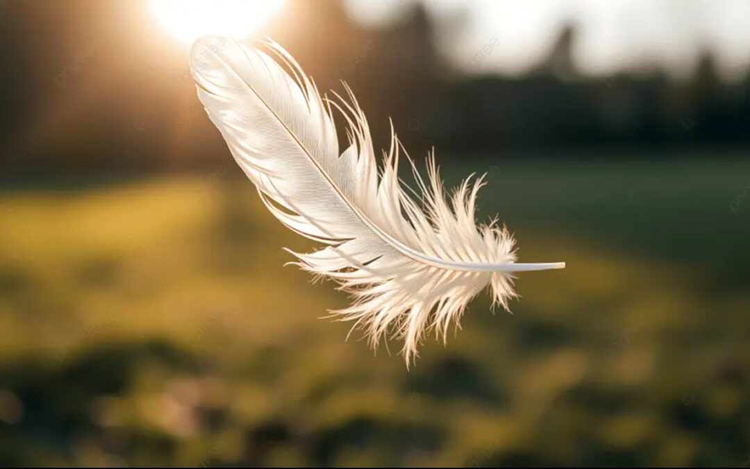 Creativiteit en levenskunst – minder moeten, meer leven