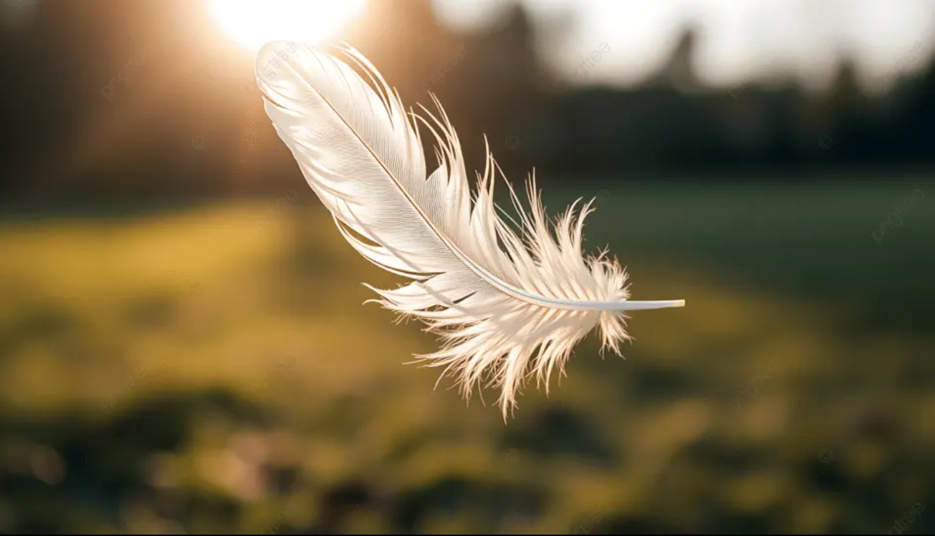 De lichtheid van het bestaan 3 creativiteit en levenskunst – lichtheid en loslaten